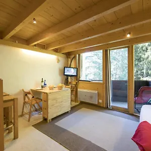 Appartement Résidence Grand Roc - Ancolies 104 - Happy, Chamonix